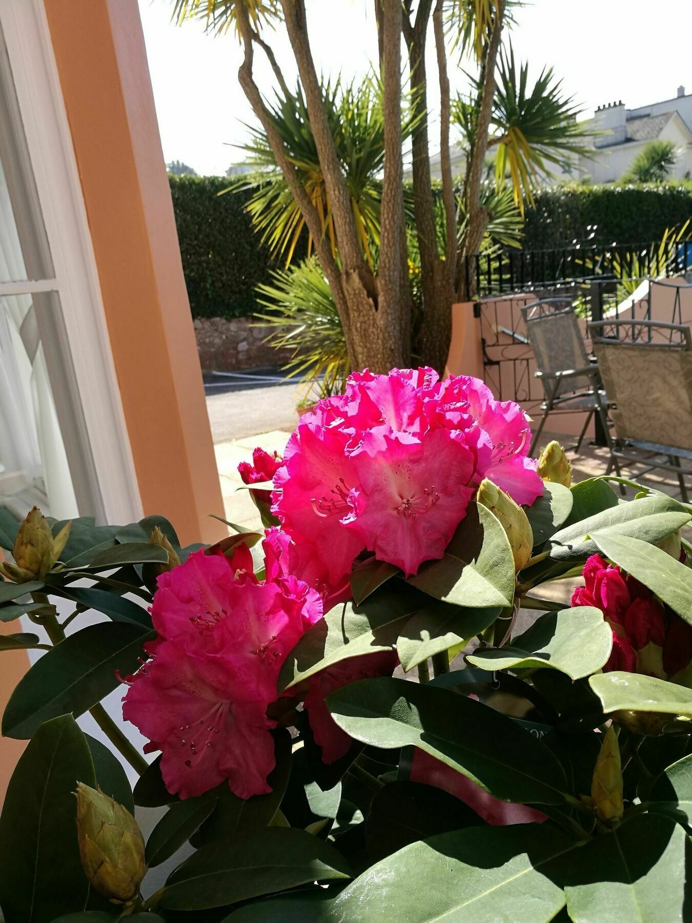 Hotel The Devon Court Torquay Exterior foto